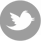 icon-twitter